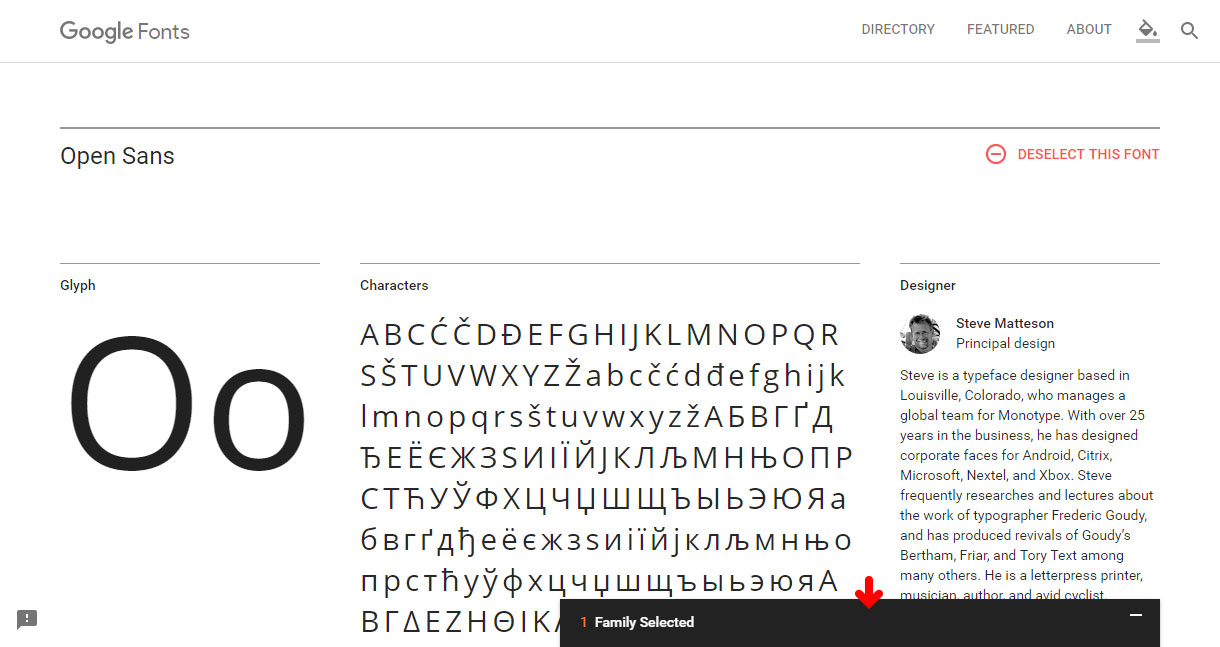 Google Font - Embed / Customize Tab