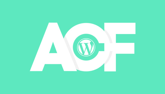 Advanced Custom Fields (ACF) WordPress Plugin
